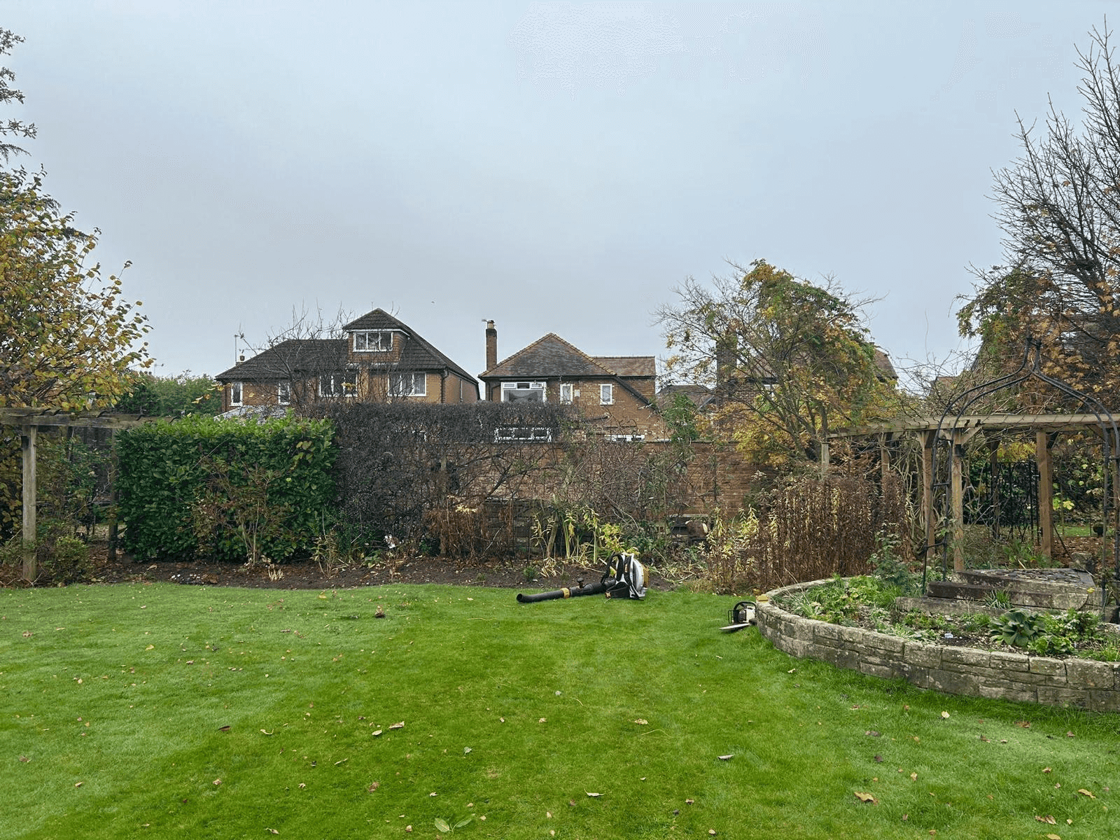 Tree Service Gallery Image 10