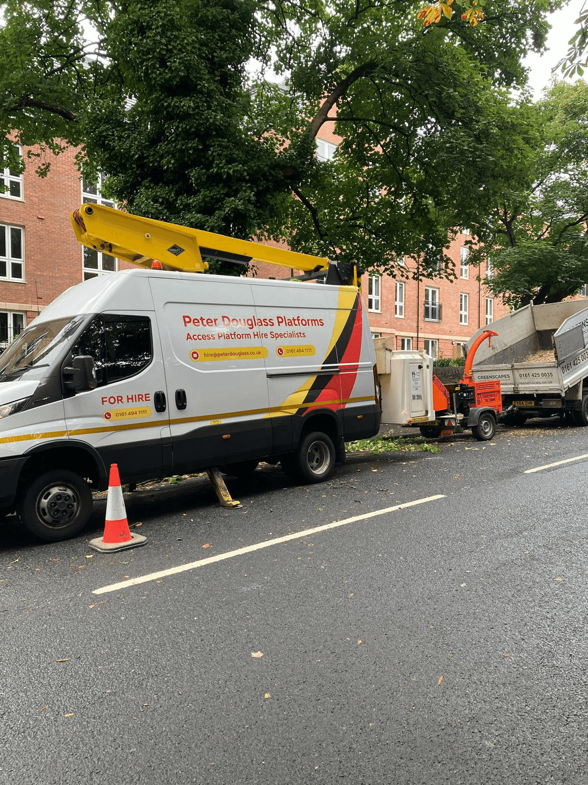 Tree Service Gallery Image 14