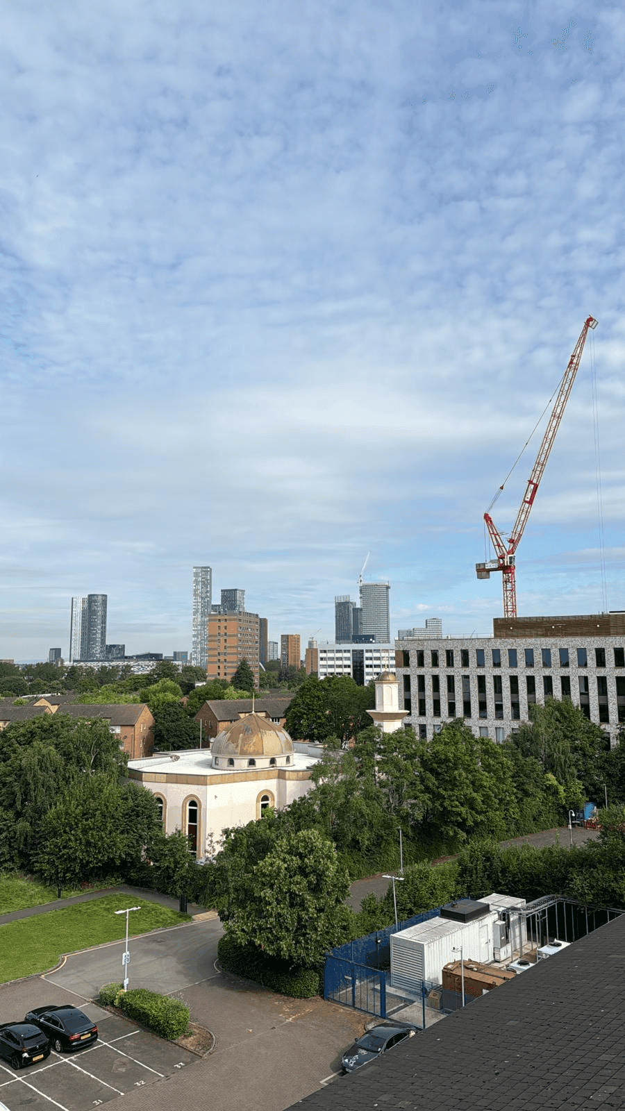 Tree Service Gallery Image 16