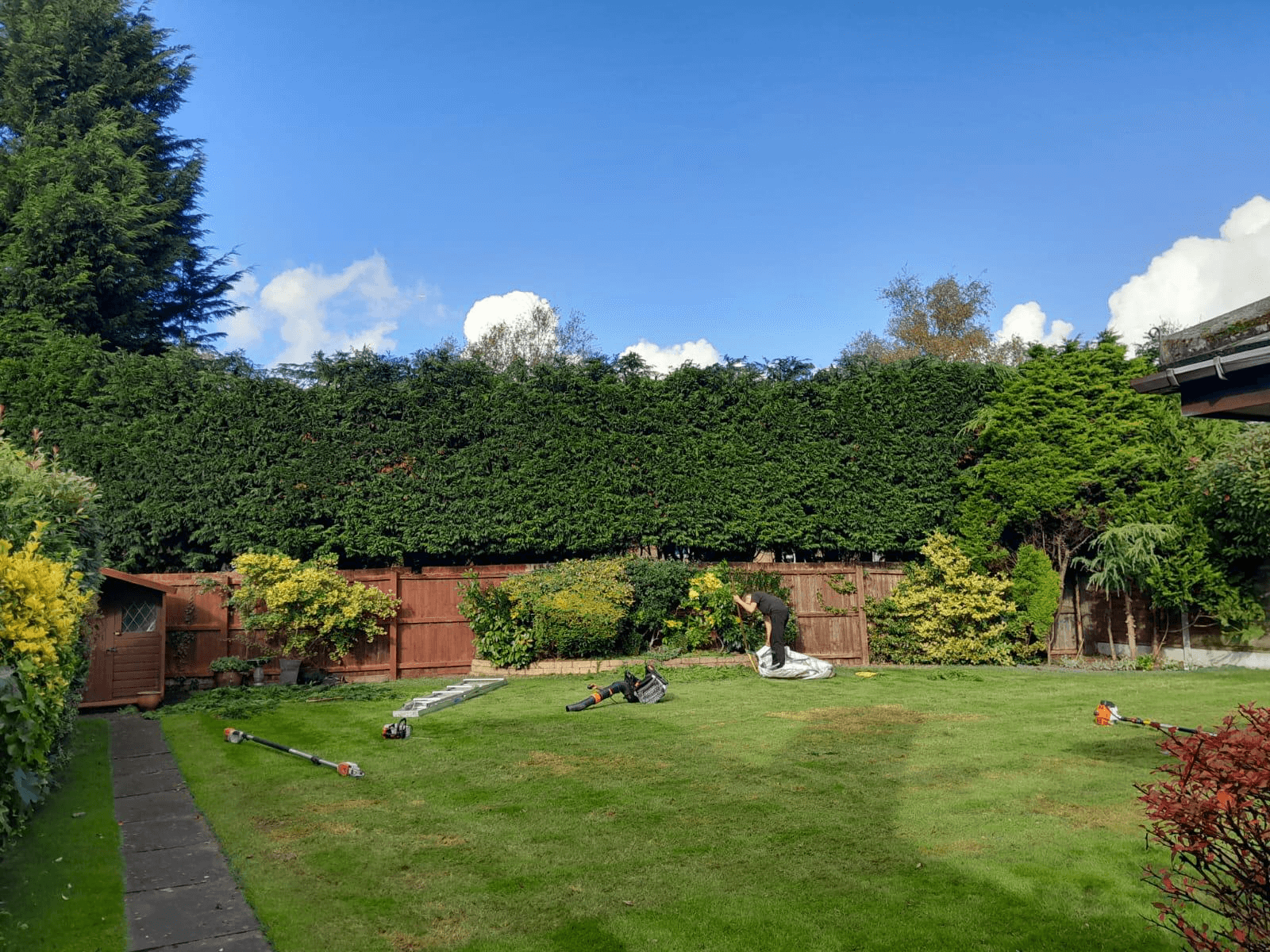 Tree Service Gallery Image 17