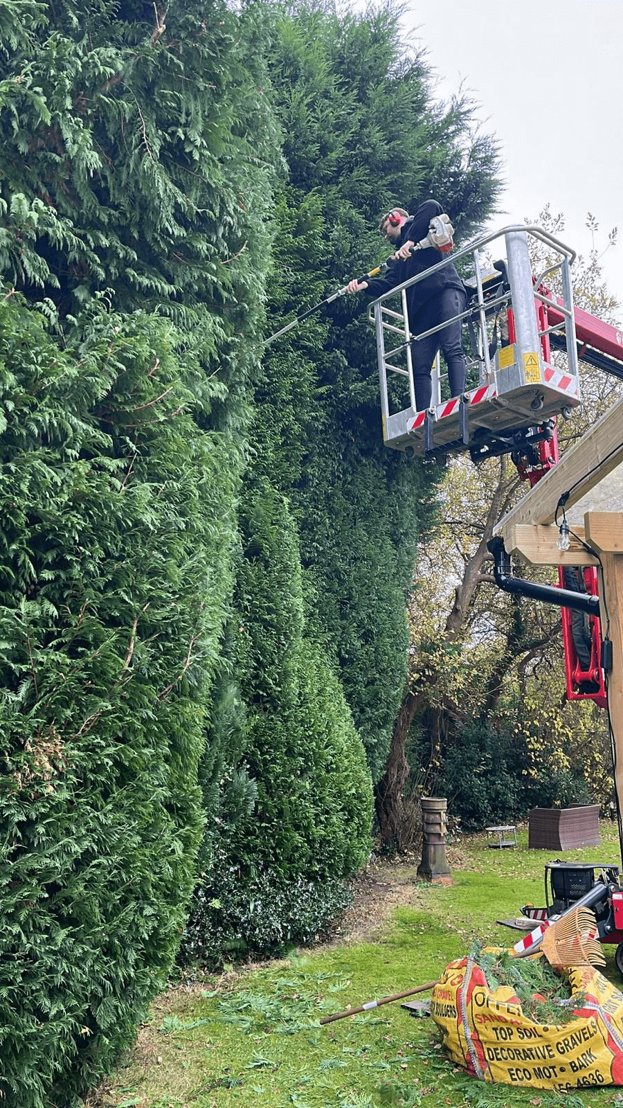 Tree Service Gallery Image 24