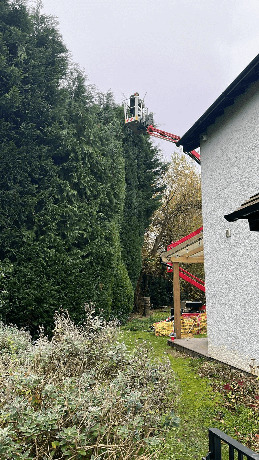 Tree Service Gallery Image 25