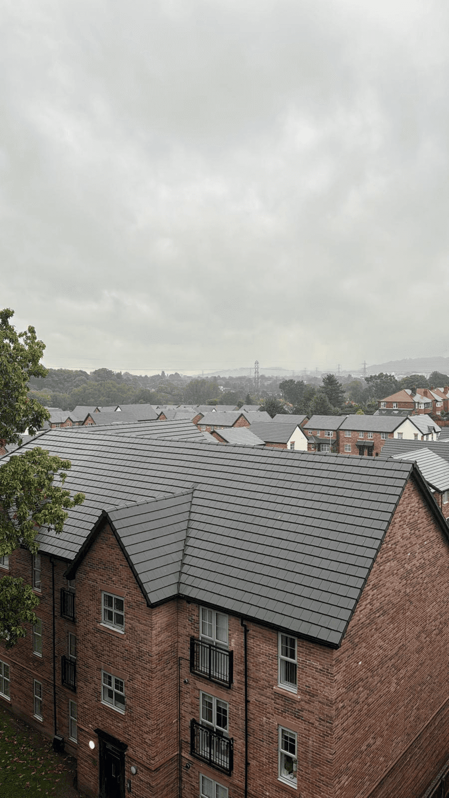 Tree Service Gallery Image 3