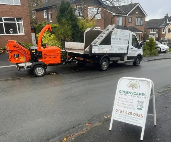 Professional Tree Surgery Services in Hazel Grove